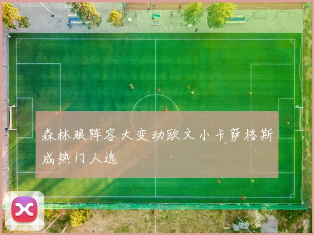 森林狼阵容大变动欧文小卡萨格斯成热门人选