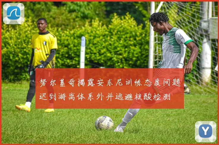 努尔基奇揭露安东尼训练态度问题迟到游离体系外并逃避核酸检测