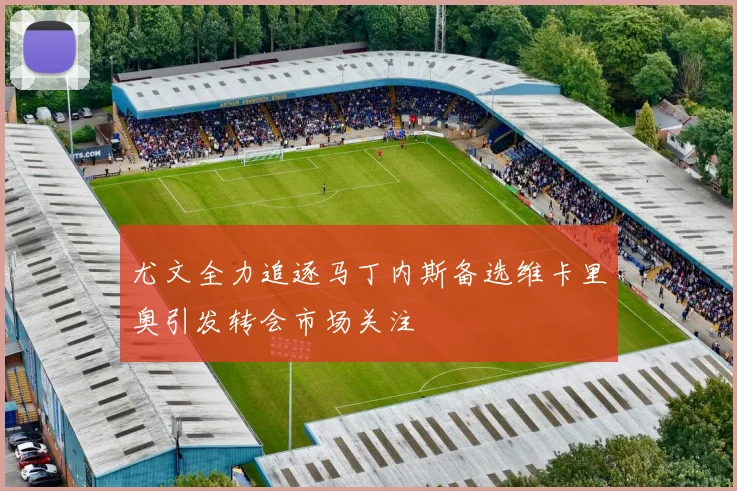 尤文全力追逐马丁内斯备选维卡里奥引发转会市场关注